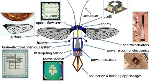 Robobees – Robotic Pollinators of the Future